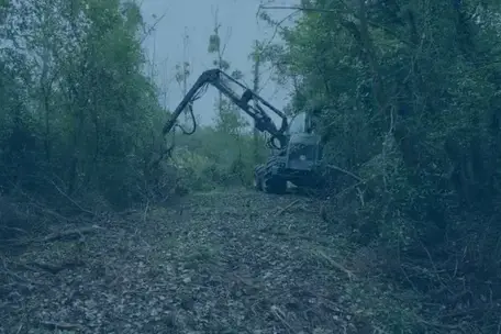 aménagement extérieur à Blois - image 4