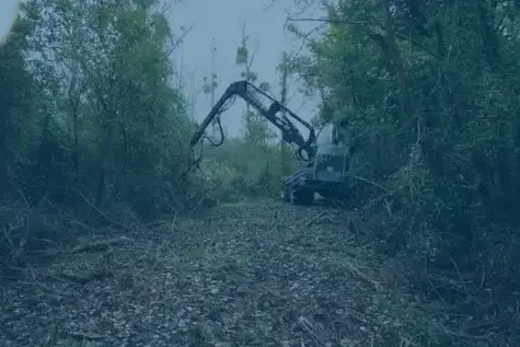 aménagement extérieur à Bourges - image 4