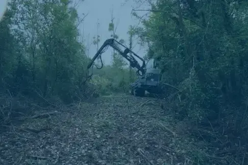 aménagement extérieur Châteauroux-5