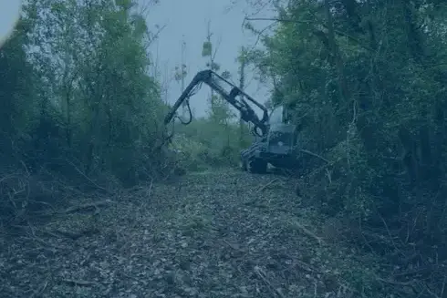 aménagement extérieur à Contres - image 4