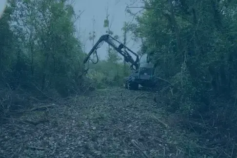 aménagement extérieur à Romorantin-Lanthenay - image 3