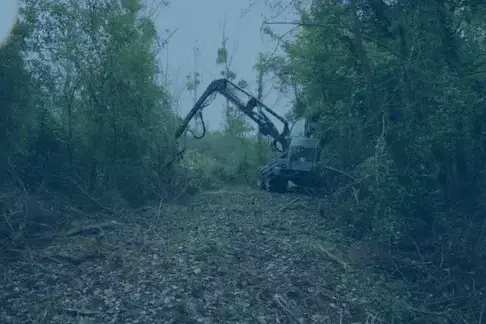 aménagement extérieur à Tours - image 3