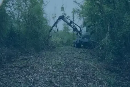 aménagement extérieur à Vendôme - image 2