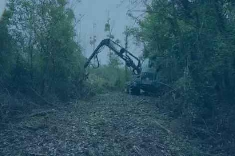 location engins travaux publics à Contres - image 4