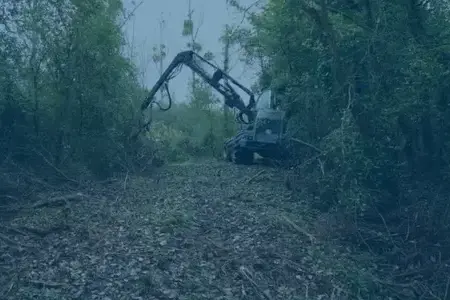 travaux forestier à Blois - image 3