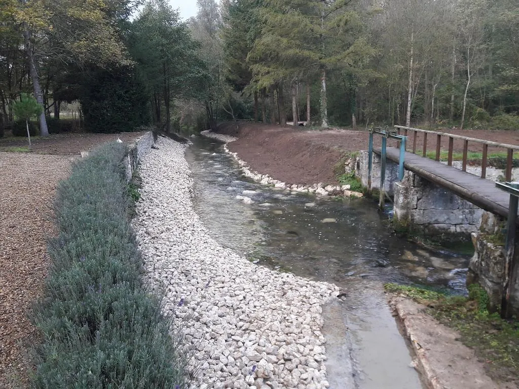 travaux forestier blois
