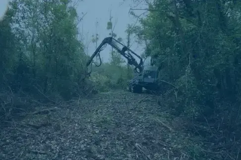 travaux forestier à Bourges - image 2