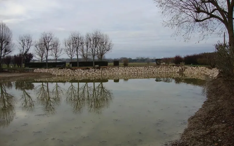 travaux forestier bourges