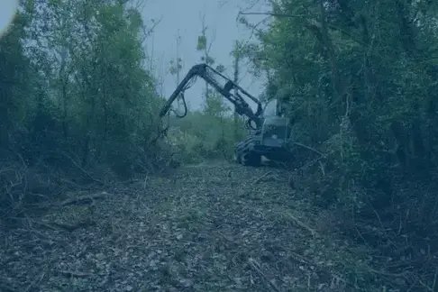 travaux forestier à Châteauroux - image 2