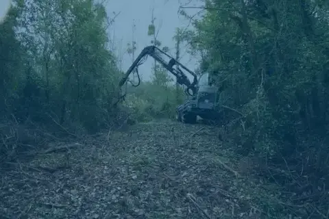 travaux forestier à Contres - image 3