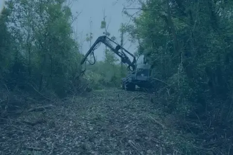 travaux forestier à Orléans - image 2