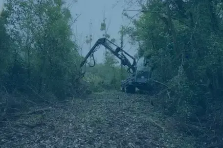 travaux forestier Romorantin-Lanthenay-5