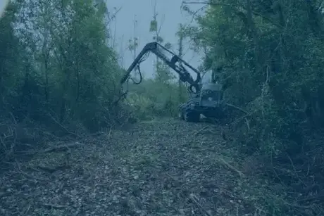 travaux forestier Selles-sur-Cher-5