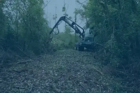 travaux forestier à Tours - image 4