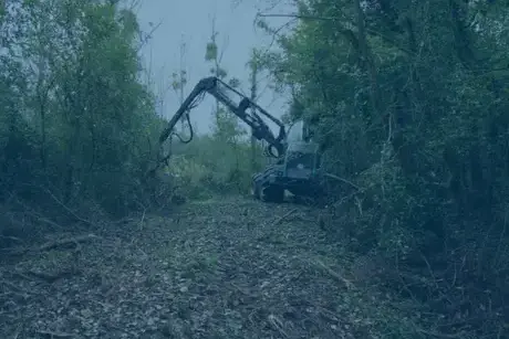 travaux forestier Vendôme-1